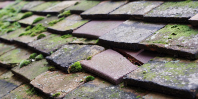 Trevaughan roof repair costs